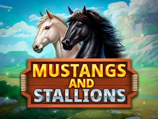 Mustangs and Stallions thumbnail