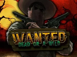 Wanted Dead or a Wild thumbnail
